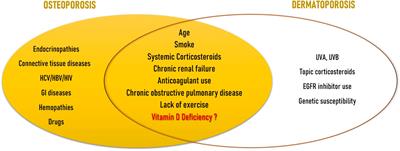 Osteoporosis and dermatoporosis: a review on the role of vitamin D